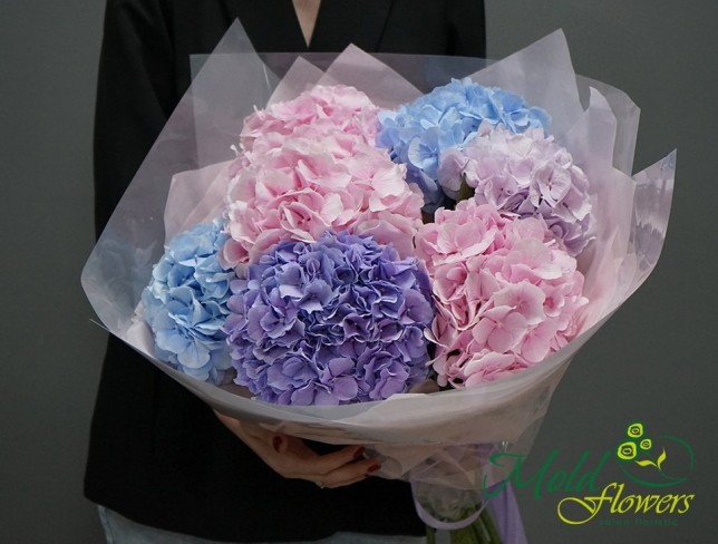 Bouquet of 7 colorful hydrangeas (On order 5 days) photo